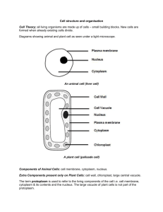 Cell structure and organisation_Notes - IGCSEBiology-Dnl