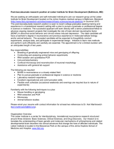 Post-baccalaureate research position at Lieber Institute for Brain