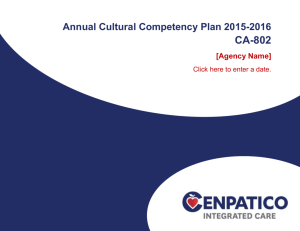 CA-802 – Annual Cultural Competency Plan