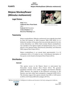 Mojave Monkeyflower