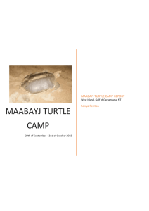 2015 Maabayj Turtle Camp Report - Sonya Fenton