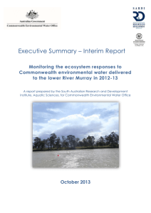 Executive Summary - Interim Report