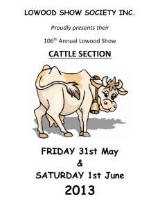 dairy cattle - Lowood Show Society