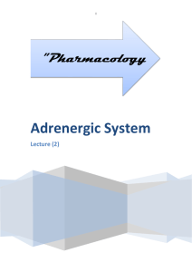 Adrenergic System Lecture (2)