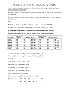 Atlantic Stockyards Limited – Feeder Sale Results – April 13 th , 2013