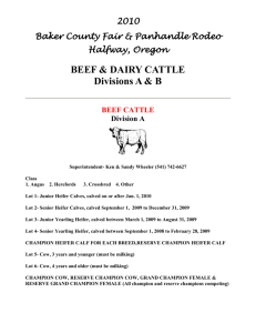 BEEF & DAIRY CATTLE Divisions A & B