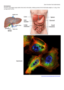 Liver Function Tests Information - KKMRNL-Bond