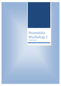 Nxamalala Workshop 1 Final Report