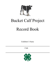Lee County Fair Bucket/Bottle Calf Record Book