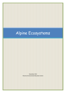 Alpine Study Notes - Riverina Environmental Education Centre