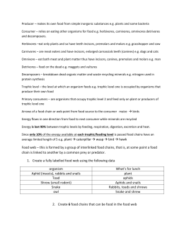 Learning Activity: TROPHIC LEVEL WORKSHEET