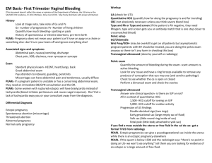 First Trimester Vaginal Bleeding show notes (Word format)
