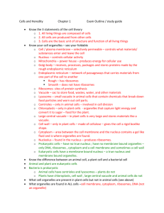 Cells-and-Heredity-Chapter-1-Exam-Outline answers