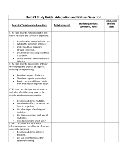 Introduction to evolution worksheet pdf picture
