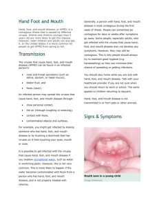 Important Information About Hand Foot and Mouth Disease in