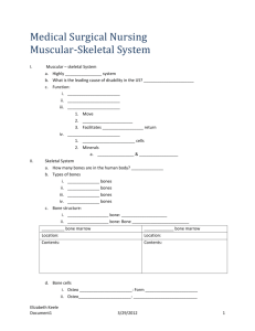 Lecture 6 Handout: Skeletal-Muscular System