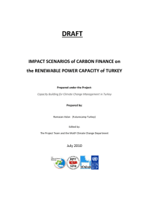 Carbon Finance and Renewable Power