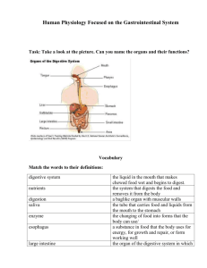 Human Physiology Focused on the Gastrointestinal System