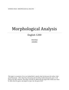 Morphological Analysis - Christi Bock`s E