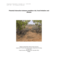 Potential Interaction between predation risk, food limitation and