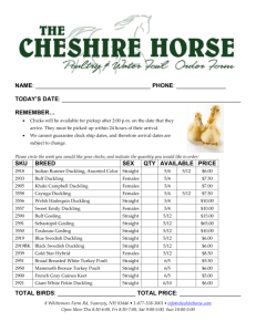 today`s date - The Cheshire Horse