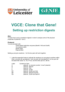 VGCE: Clone that Gene!