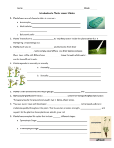 Introduction to Plants Notes