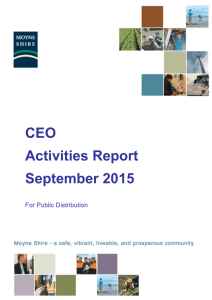 CEO Activities Report