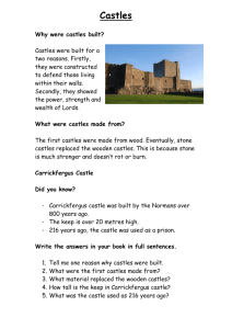 What were castles made from?