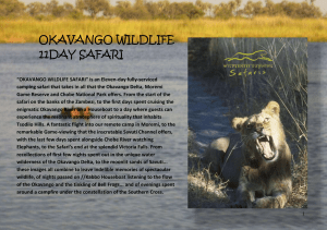 Okavango Wildlife Safari Text Only 7.78 MB