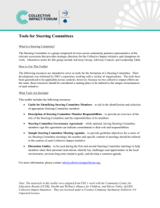 Steering Committee Toolkit - for Upload