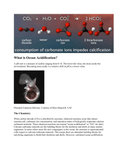 16 Article on What is Ocean Acidification