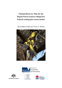 National Recovery Plan for the Regent Parrot (eastern subspecies