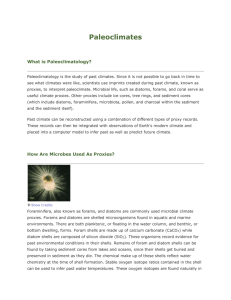 Paleoclimates Reading