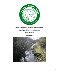 Water Framework Directive Habitat Survey Cynffig and Ffornwg