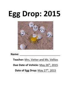 Egg Drop: 2015 Name
