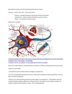 Describe the functions and the functioning of the nervous system