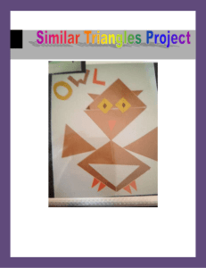 Similar Triangles Project