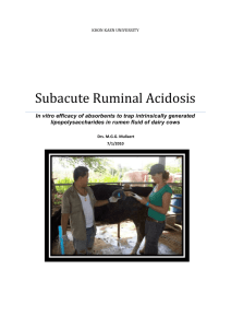 Subacute Ruminal Acidosis - Utrecht University Repository