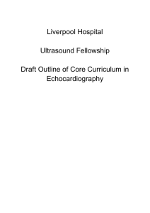 Echocardiography curriculum