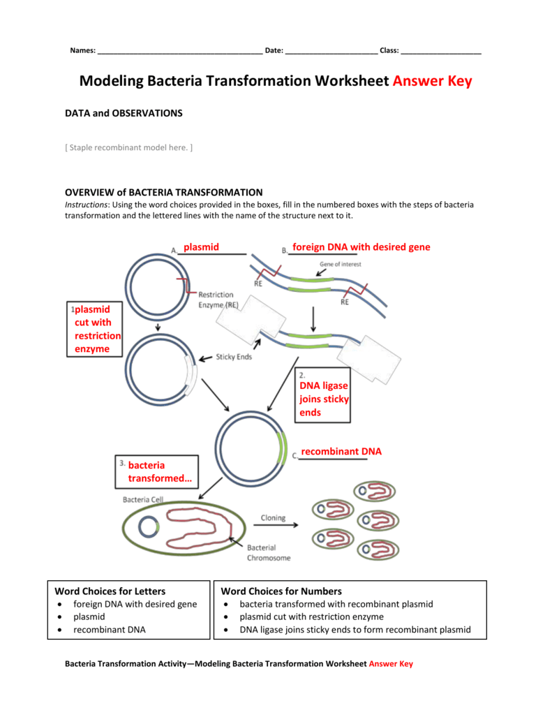 Mutation Virtual Lab Worksheet Answers - Mastering Biology Exam 2 Q&A