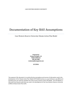 Documentation of Key BAU Assumptions