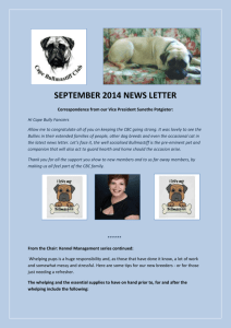 Newsletter September 2014