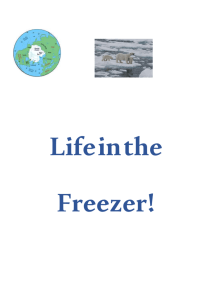 Life in the Freezer