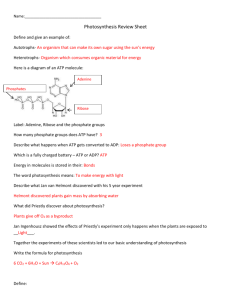 Name: Photosynthesis Review Sheet Define and give an example of