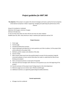 Project guideline for MKT 340