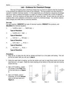 Lab * Evidence for Chemical Change