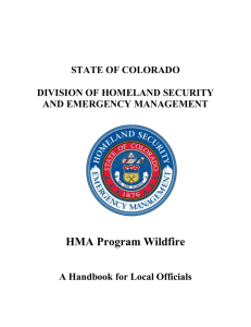 A Handbook for Local Officials - Division of Homeland Security and