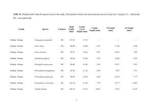 Table S1. Morphometric data for species used in this study