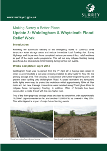 Whyteleafe Flood Relief Works